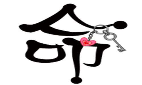 八字中带金舆怎么样